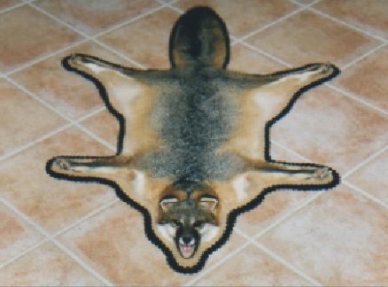 GREY FOX RUG