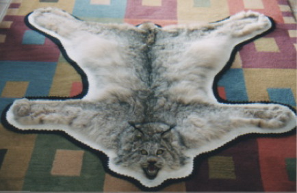 LYNX RUG