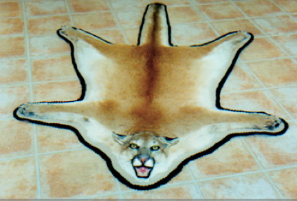 MOUNTAIN LION RUG